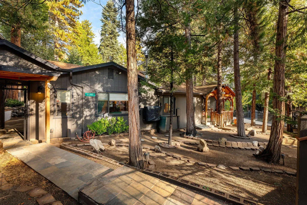 25255 Nestwa Trail, Idyllwild, California 92549 home-pic-2